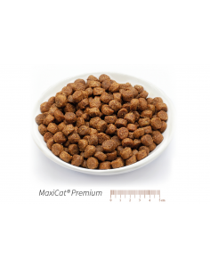 MaxiCat Sternemenü